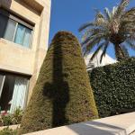 Luxury Duplex Apartment for Rent in Abdoun – 3 Bedrooms, Private Pool & Garden