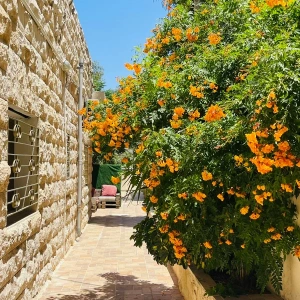 Apartment for Rent in Jabal Al Lweibdeh | 1 Bedroom | 60 sqm