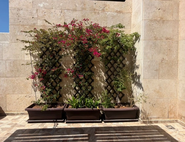 Luxury Apartment for Rent in Abdoun – Amman