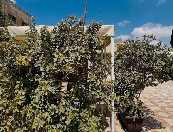 One-Bedroom Rooftop Apartment – Jabal Al-Weibdeh, Amman