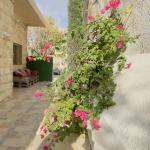 Furnished Apartment for Rent in Amman – Jabal Al-Weibdeh