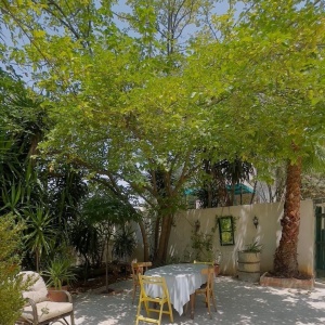 Charming Heritage House in the heart of Jabal Amman – just steps from Rainbow Street!